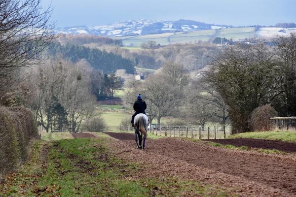 Venetia Williams Racing