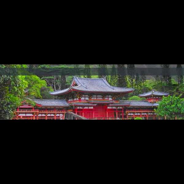 Cleethorpes Shotokan Karate Club