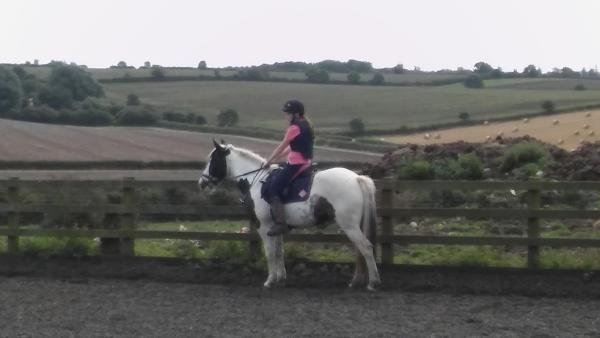 Lings Lane Riding Stables