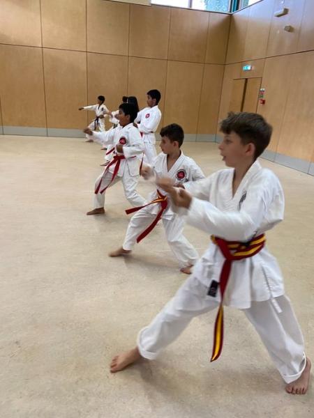 Shotokan Karate JKA Academy