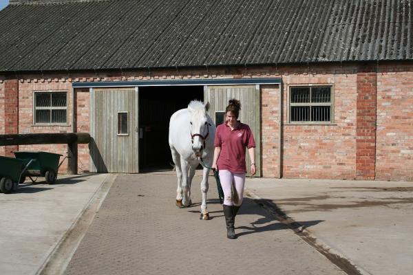 Folly Nook Livery Stables