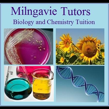 Milngavie Tutors