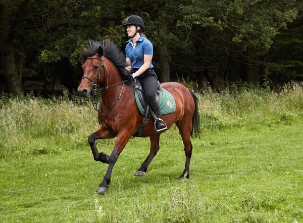 High Beech Riding School