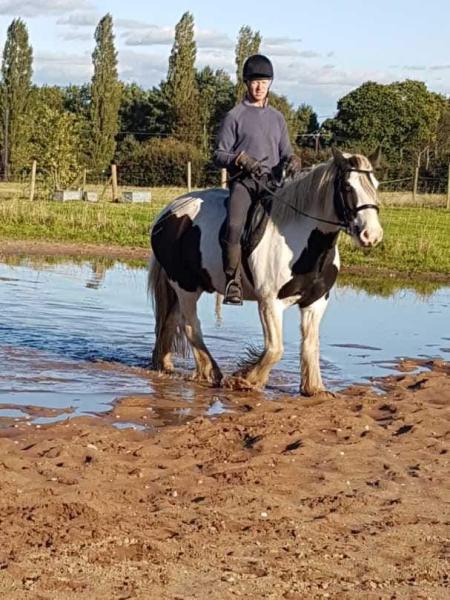 Pete Daynes Equestrian