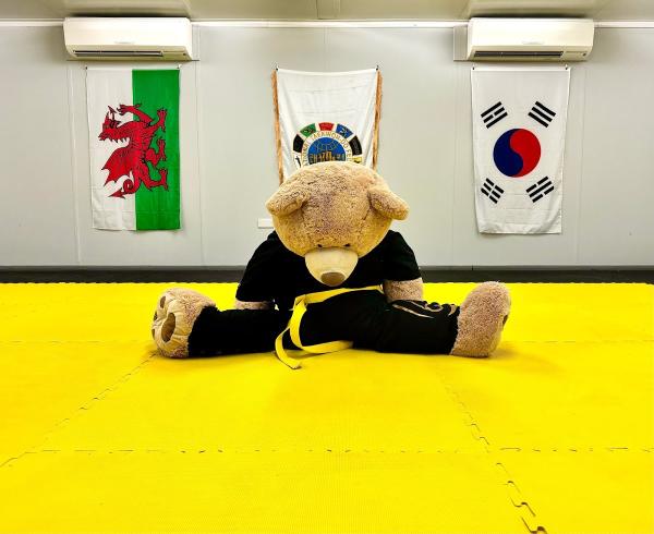 Tae Kwon Do Wales