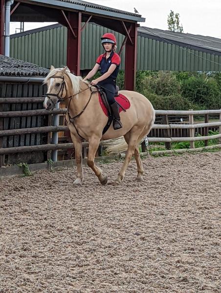 Tumpy Green Equestrian Centre