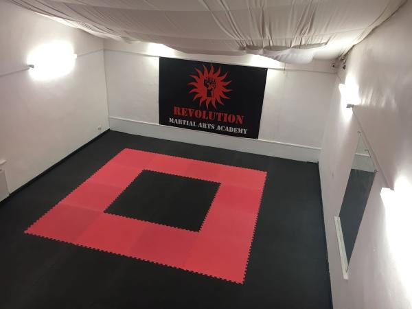 Revolution Martial Arts Academy