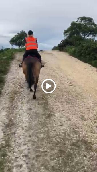 Bagnum Equestrian Centre