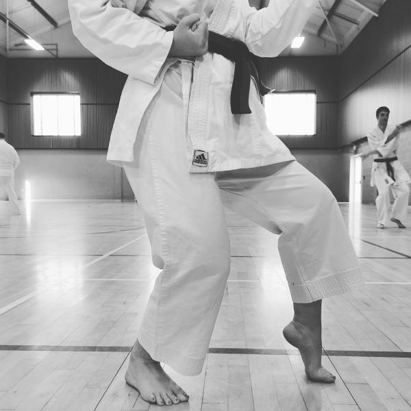 Tetsu Nushi Karate Club