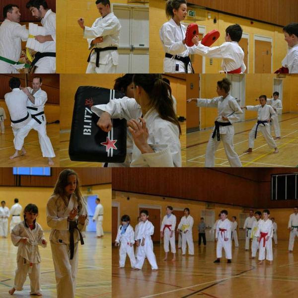 Tetsu Nushi Karate Club