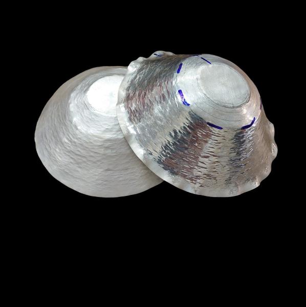 York School of Jewellery