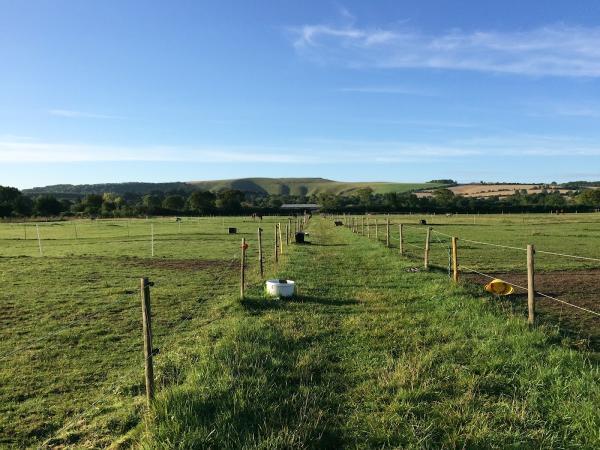 Woolstone Farm Livery