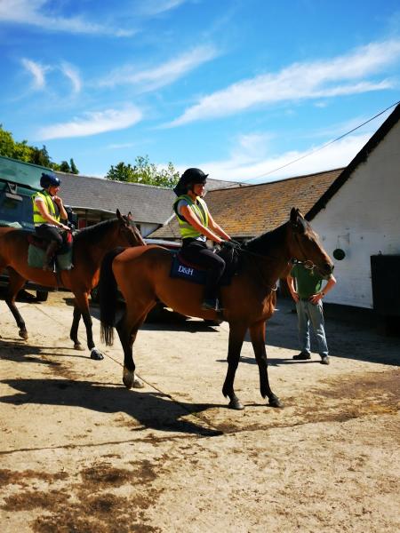 Wilsford Stables