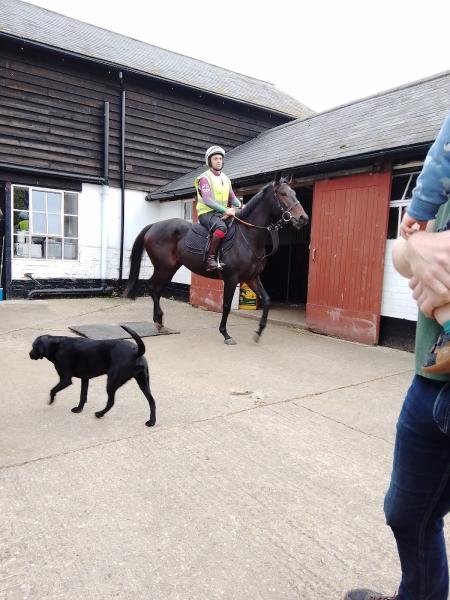 Wilsford Stables