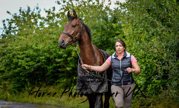 Joanne Shaw Equestrian