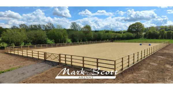 Mark Scott Arenas Ltd