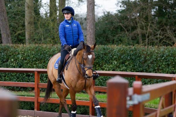 Godolphin Rehoming