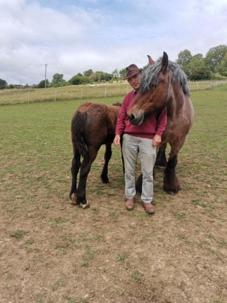 Wellow Horse Livery Centre