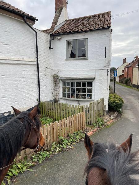 Lakeside Riding Centre