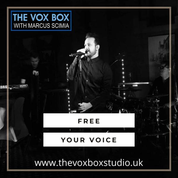 The Vox Box