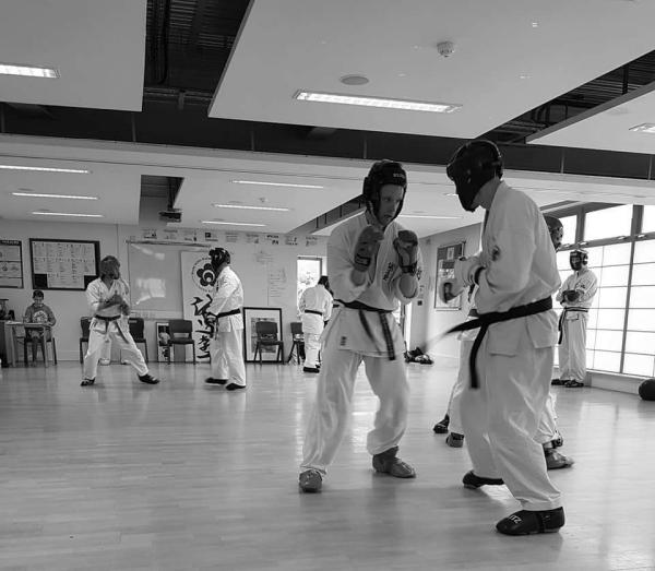 Seido Karate Dover
