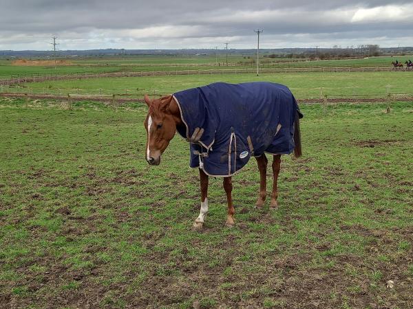 Rebecca Menzies Racing