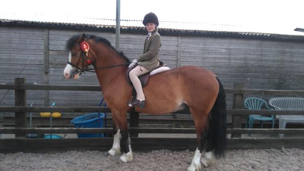 Holme Farm Equestrian Centre