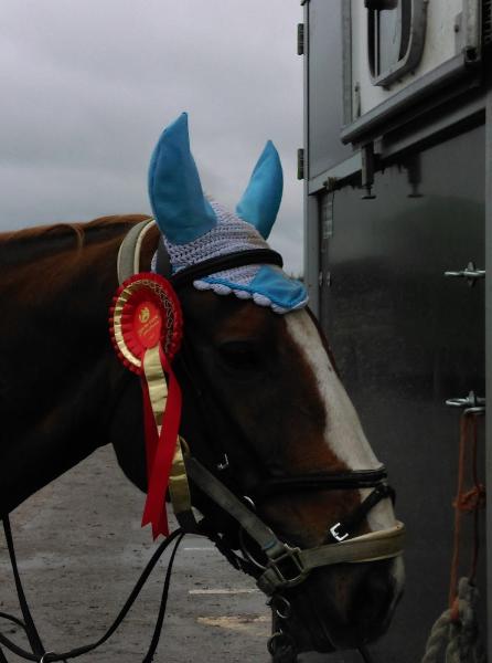 Holme Farm Equestrian Centre