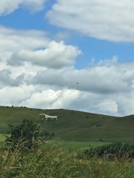 White Horse Liveries (Alton Barnes) Ltd