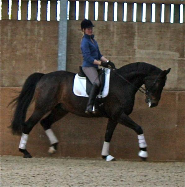 Thurleigh Equestrian Centre