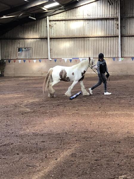 Stammerham Livery Stables