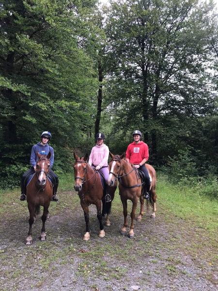 Garlands Farm Trekking and Horse Riding Centre