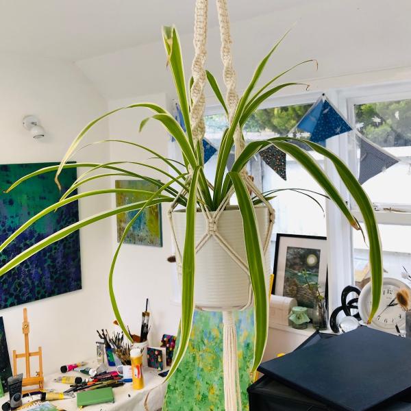 The Little Studio On the Street