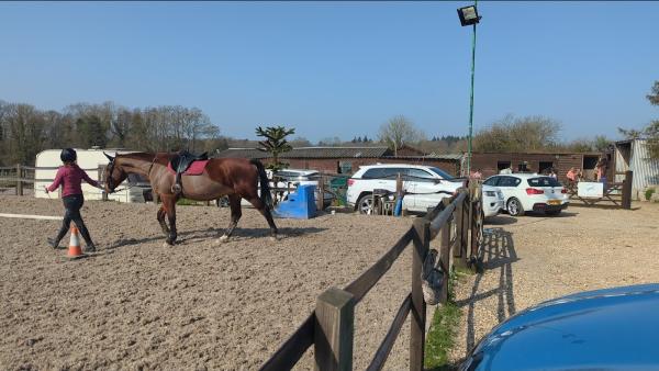 Ampfield Riding Stables