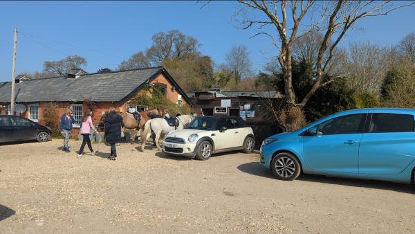 Ampfield Riding Stables