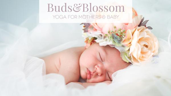 Buds & Blossom Yoga
