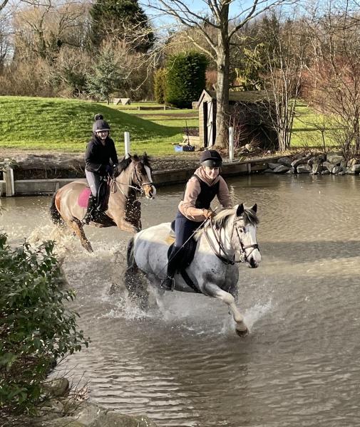 Valley Farm Equestrian Centre