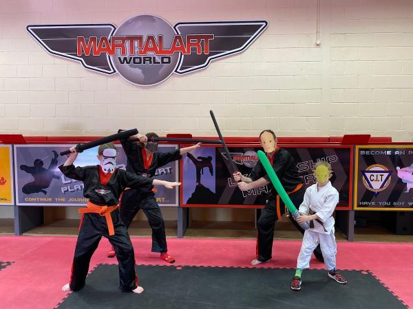Martial Art World