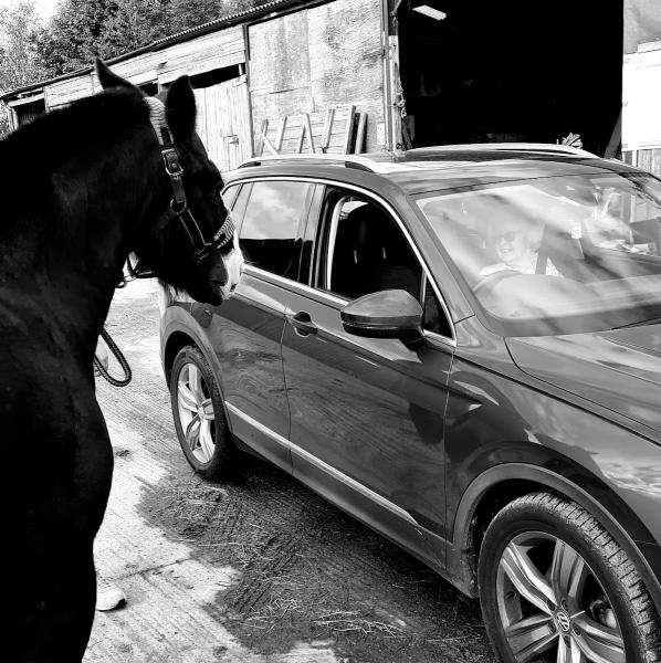 Prestbury Riding Stables