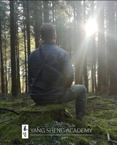Qi Gong Classes
