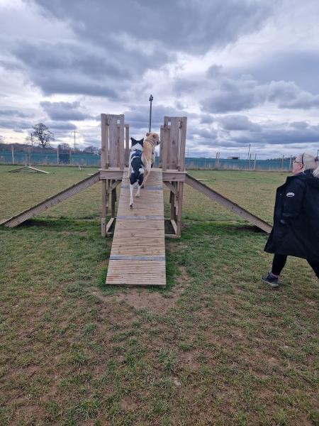 Cousland Park Training and Livery Centre