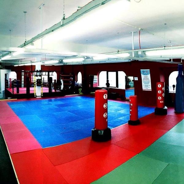 Knowle Green Kick Boxing and Boxing Gym