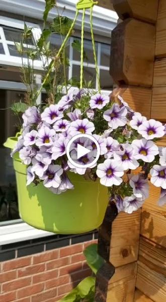 Land of Reiki and Aroma