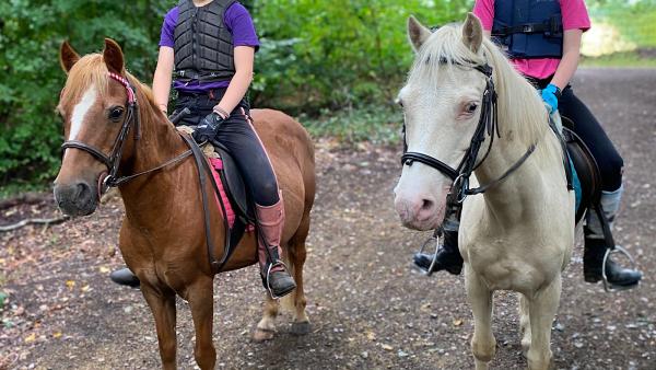 Ruislip Park Stables