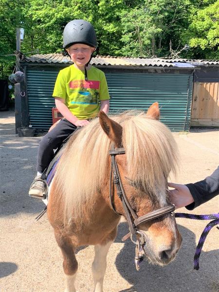 Ruislip Park Stables