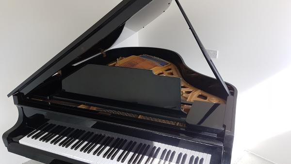 Peszko Piano