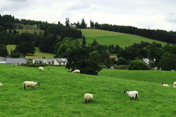 Pitlochry Golf Pro Shop