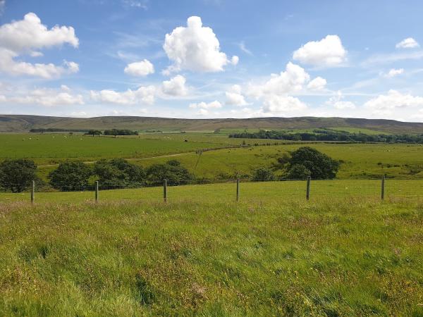 The Gathering Fields Wellbeing Centre