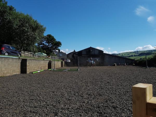 Andrew Walker Equestrian Services