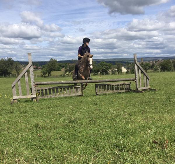 Wilsden Equestrian Centre